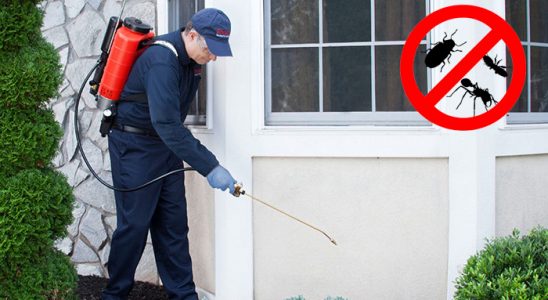 Söğüt Gümüşkurt İlaçlama böcek ilaçlama ve haşere kontrolü — ilaclama-tr.com